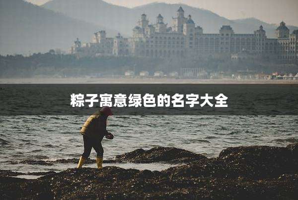 粽子寓意绿色的名字大全