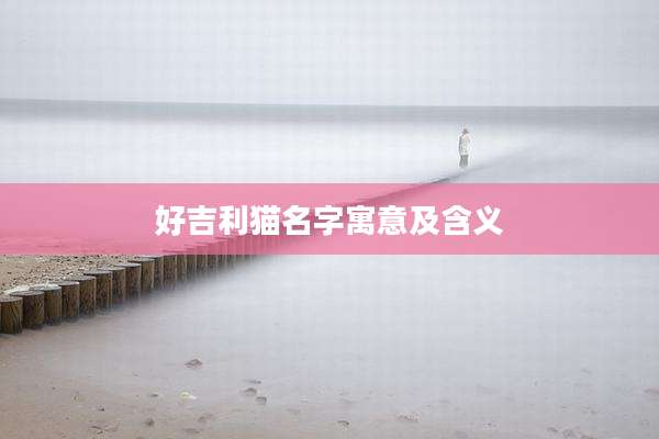 好吉利猫名字寓意及含义