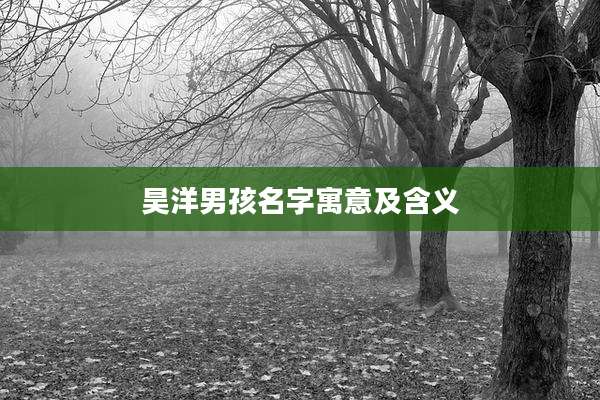 昊洋男孩名字寓意及含义
