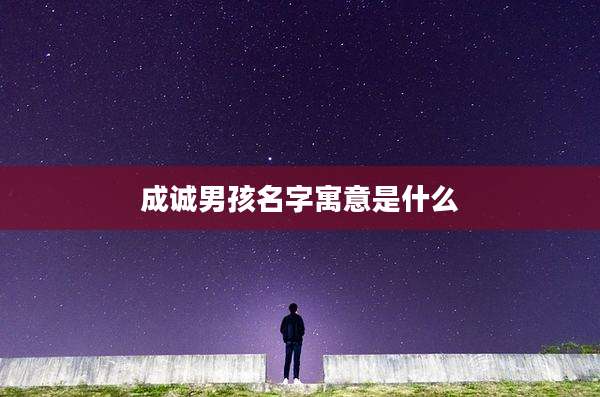 成诚男孩名字寓意是什么