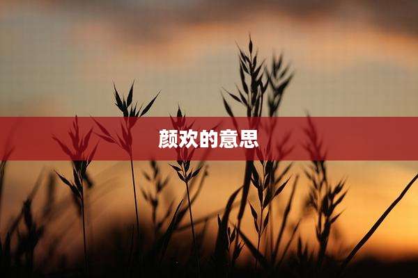 颜欢的意思