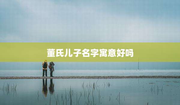董氏儿子名字寓意好吗