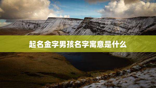 起名金字男孩名字寓意是什么