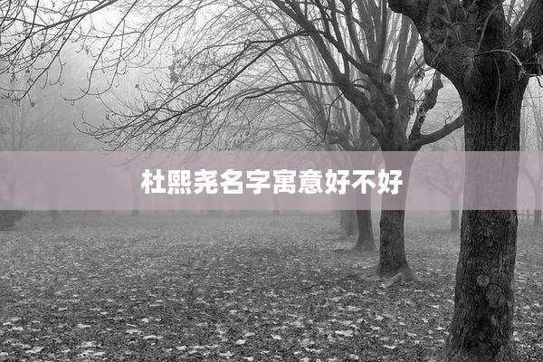 杜熙尧名字寓意好不好