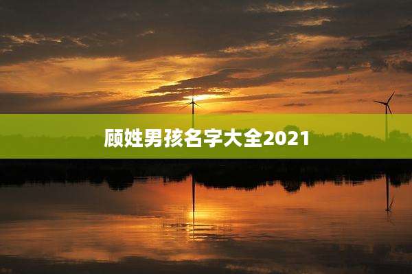 顾姓男孩名字大全2021