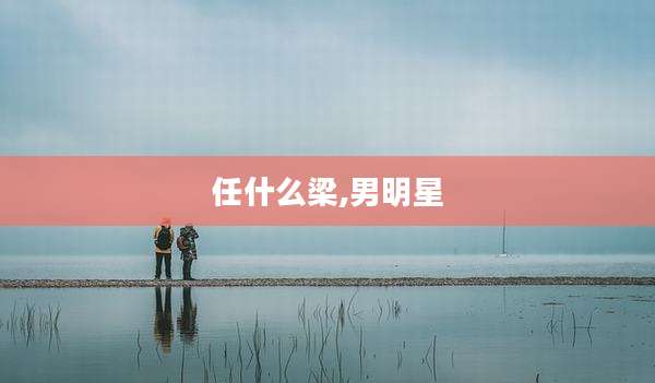 任什么梁,男明星