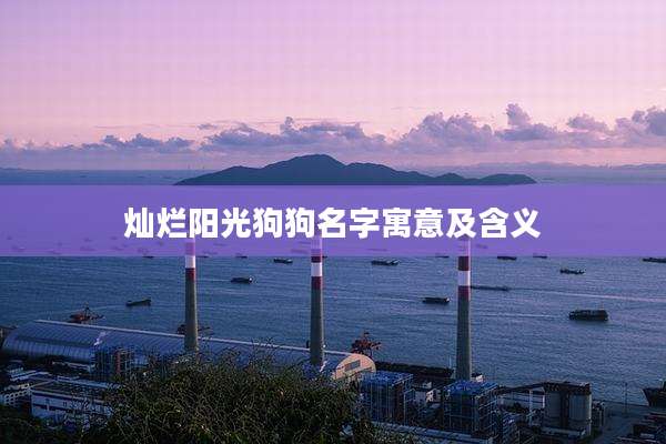 灿烂阳光狗狗名字寓意及含义