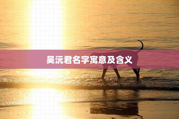 吴沅君名字寓意及含义