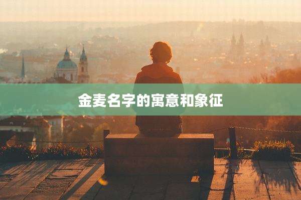 金麦名字的寓意和象征
