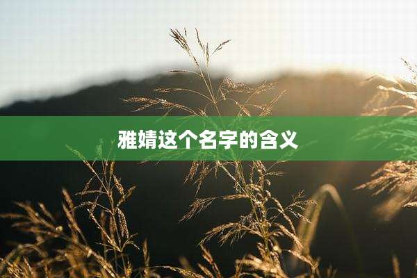 雅婧这个名字的含义