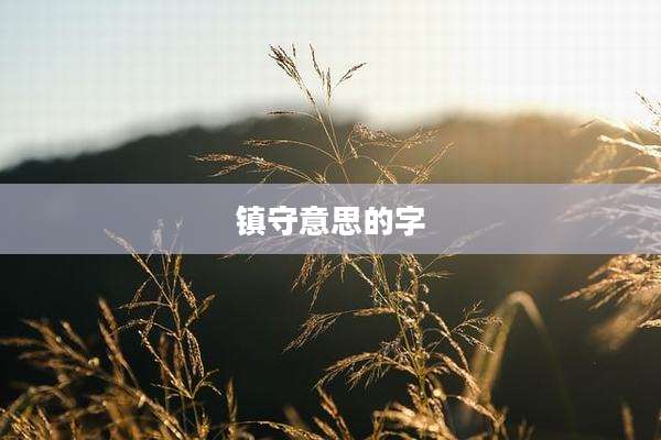 镇守意思的字