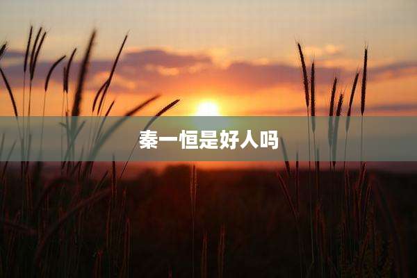 秦一恒是好人吗