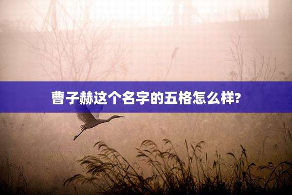 曹子赫这个名字的五格怎么样?