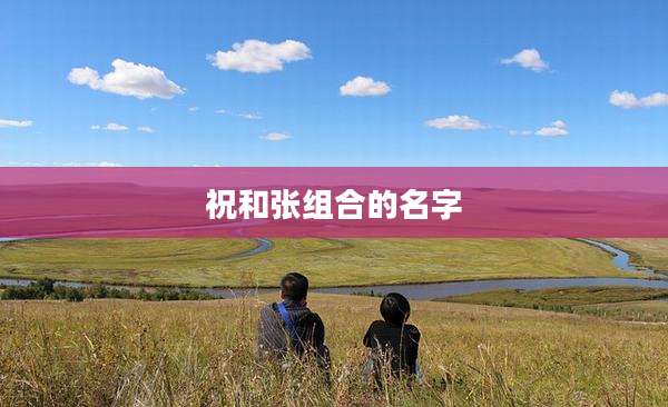 祝和张组合的名字