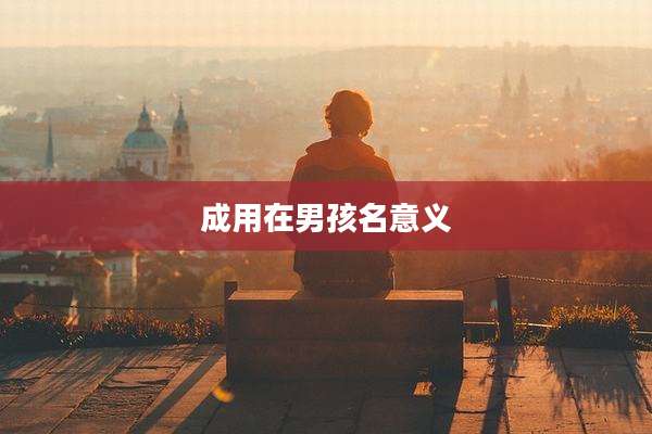 成用在男孩名意义