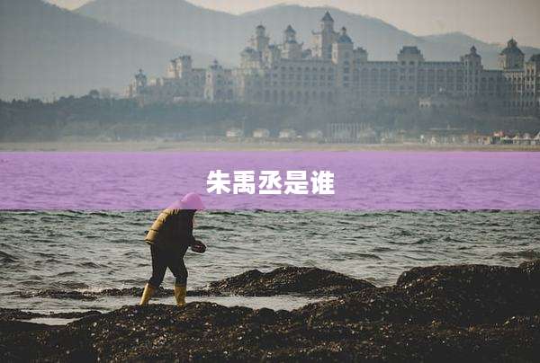 朱禹丞是谁