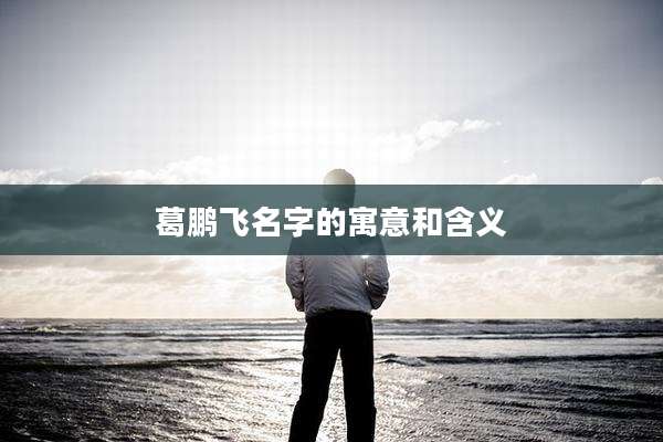 葛鹏飞名字的寓意和含义