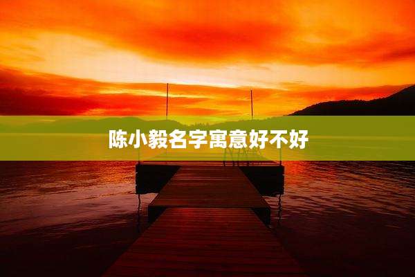 陈小毅名字寓意好不好