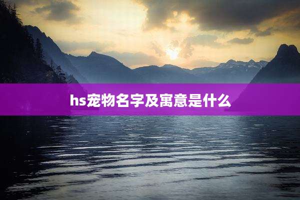 hs宠物名字及寓意是什么