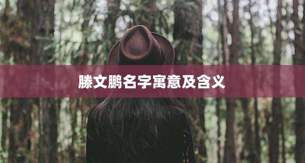 滕文鹏名字寓意及含义