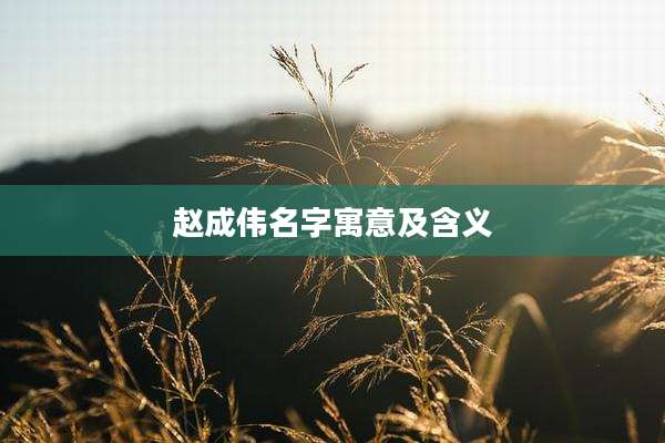 赵成伟名字寓意及含义