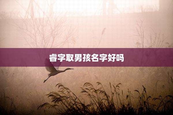 睿字取男孩名字好吗