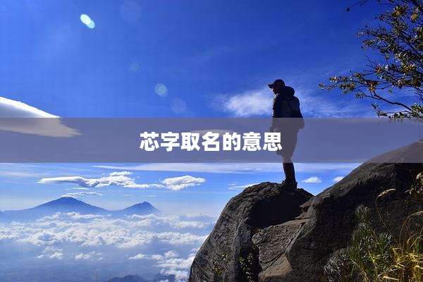 芯字取名的意思