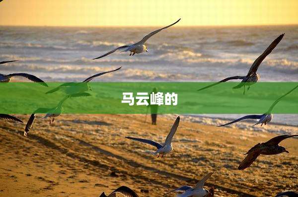 马云峰的
