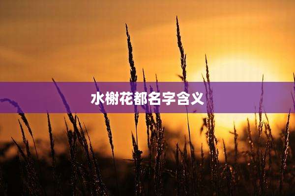 水榭花都名字含义