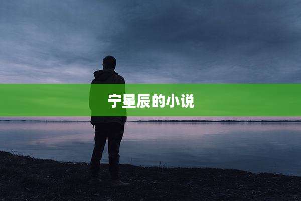 宁星辰的小说