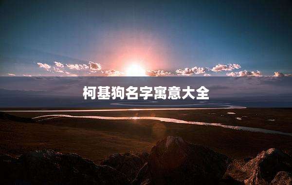 柯基狗名字寓意大全