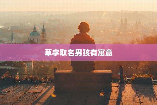 草字取名男孩有寓意