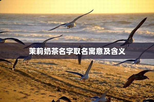 茉莉奶茶名字取名寓意及含义