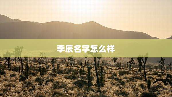 李辰名字怎么样