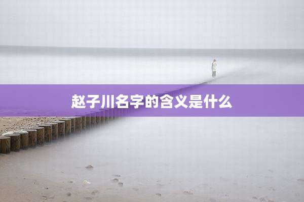 赵子川名字的含义是什么