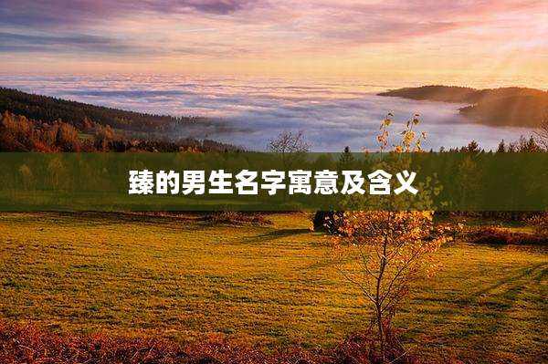 臻的男生名字寓意及含义