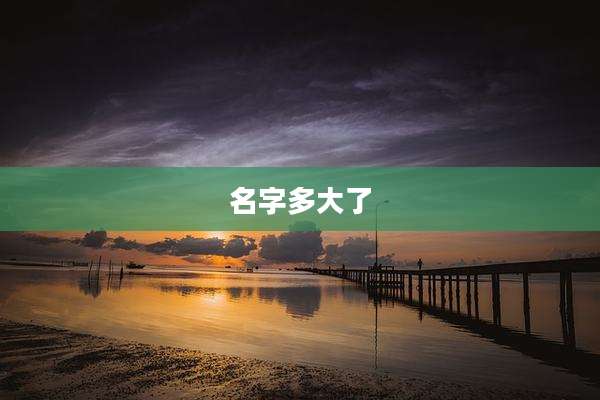 名字多大了