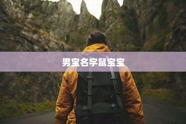 男宝名字鼠宝宝