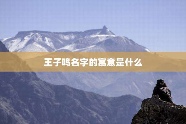 王子鸣名字的寓意是什么