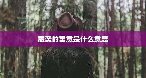 宸奕的寓意是什么意思