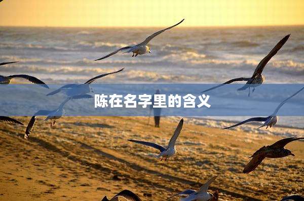 陈在名字里的含义