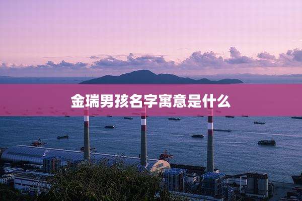 金瑞男孩名字寓意是什么