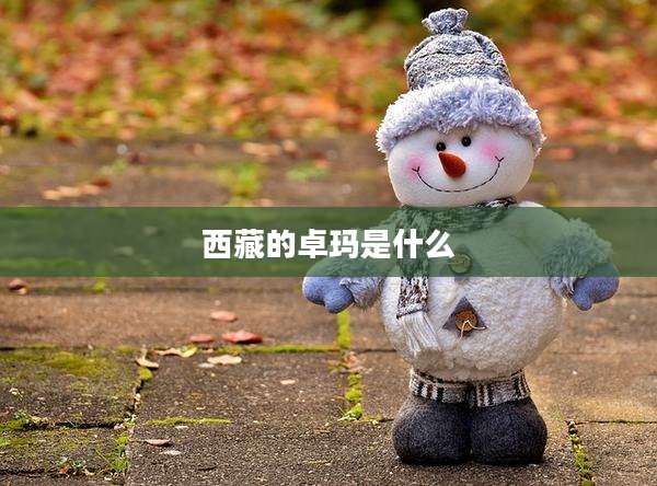 西藏的卓玛是什么