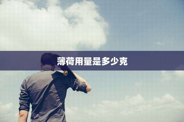 薄荷用量是多少克