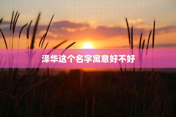 泽华这个名字寓意好不好