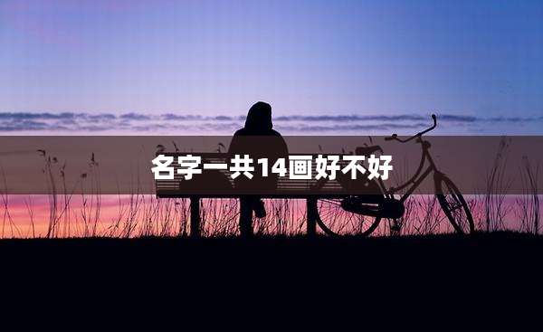 名字一共14画好不好