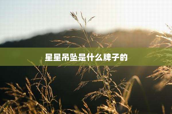 星星吊坠是什么牌子的