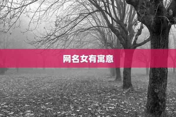 网名女有寓意