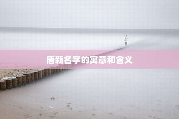 唐新名字的寓意和含义
