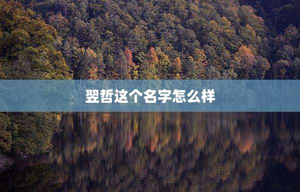 翌哲这个名字怎么样